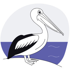 Pelican Bird Illustration Elegant Coastal Bird for Nature and Wildlife Designs