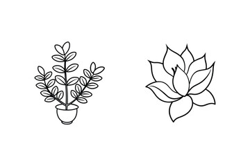 Simple Outline Drawing Of Potted Plant And Blooming Flower On White Background