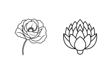 Elegant Line Art Of A Rose And Lotus Flower On White Background