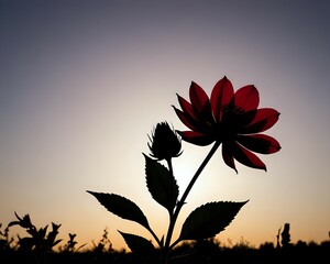 Fototapeta premium Silhouette of a beautiful flower 