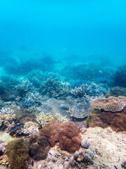 Myanmar sea under the sea