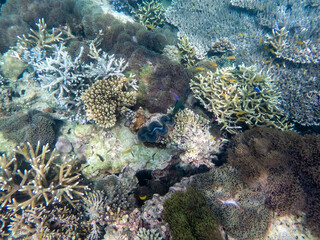 Myanmar sea under the sea