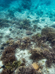 Myanmar sea under the sea