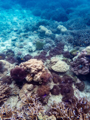 Myanmar sea under the sea