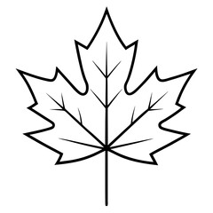 maple-leaf-icon 