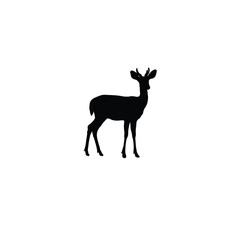 Cute Deer silhouette on white background