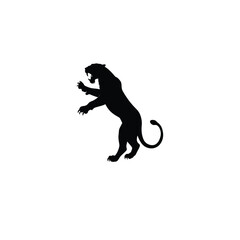 Panther silhouette on white background
