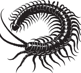 Illustration of a silhouette icon featuring a centipede