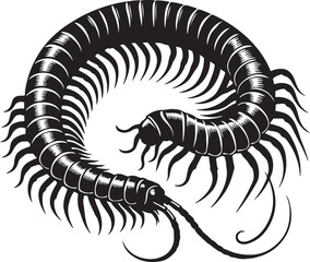 Illustration of a silhouette icon featuring a centipede