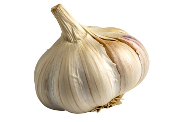 Obraz premium garlic on white background