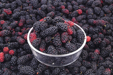 Bowl with mulberry on many mulberry berries close up