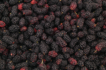 Background of many fresh mulberry berries	