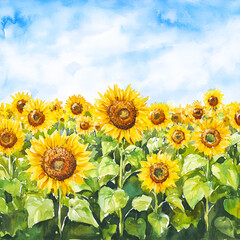 Fototapeta premium Sunflower blooming event field watercolor art bright environment wide view nature beauty