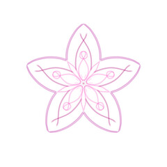 abstract pink flower