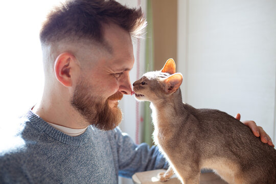 Cheerful photo of smiling bearded man and abyssinian cat licking owner's nose. Love relationship, friendship between human and cat. Pets care.  Selective focus.