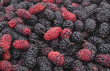 Mulberry berries background.