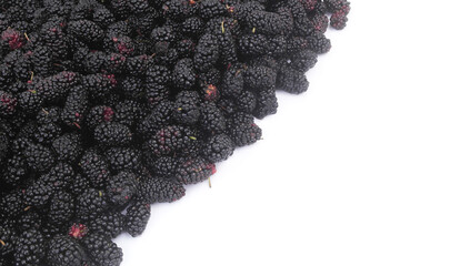 Many mulberry berries isolated on white. Copy space for text.	