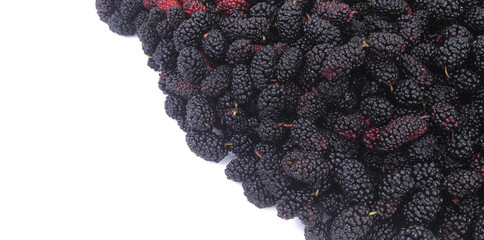 Ripe mulberry berries isolated on white. Copy space for text.	