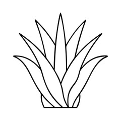 agave plant icon, agave plant line art - simple line art of agave plant, perfect for agave plant logos and icons