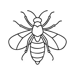 bee icon, bee line art - simple line art of bee, perfect for bee logos and icons