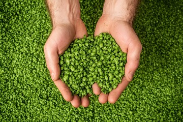 Macro close up image showcasing the vibrant texture and fine details of hops being crushed in a brewer s hands  The rich
