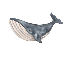Fototapeta premium Under the sea. Watercolor hand-drawn illustration with whale. Animals and plants of the underwater world. Sea-themed celebration. Cute cartoon elements for kids.