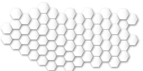 Gray and wite hexagon geometric pattern poster vector.