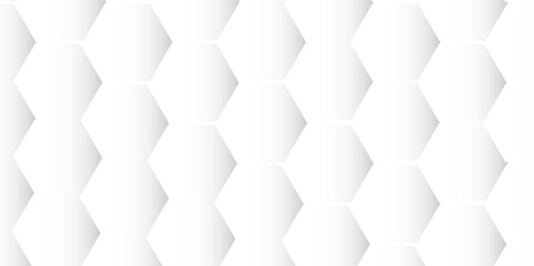 Gray and wite hexagon geometric pattern poster vector.