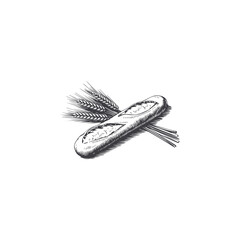 Engraving illustration of baguette and ears of wheat. Vintage bread illustration for bakery. Vector illustration