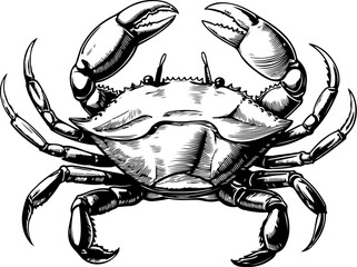 Vintage  engraving illustration of crab. Seafood emblem with crab. Vector crab illustration