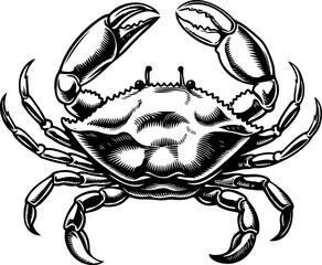 Vintage  engraving illustration of crab. Seafood emblem with crab. Vector crab illustration