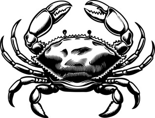 Vintage  engraving illustration of crab. Seafood emblem with crab. Vector crab illustration