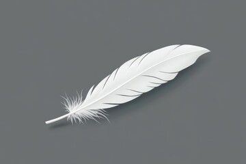White feather illustration