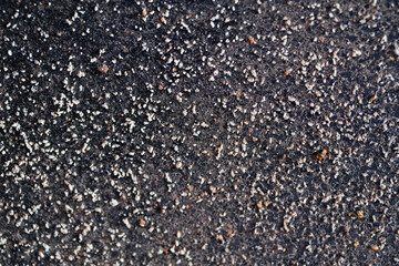 Sawing wood with a sawmill in a factory