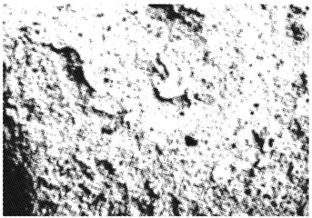 Stone Background And Layers In Halftone Mode