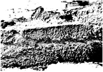 Stone Background And Layers In Halftone Mode