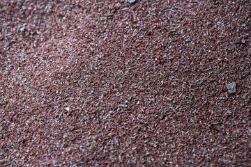 Sawing wood with a sawmill in a factory