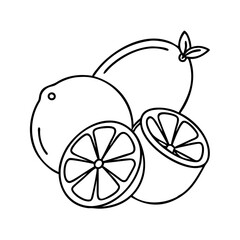 limes icon, limes line art - simple line art of limes, perfect for limes logos and icons