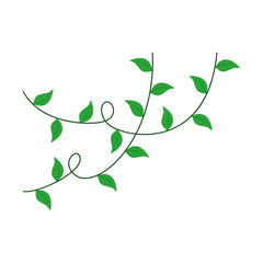 Vines leaves and curls for border or corner design element, cute thanksgiving, spring, autumn, halloween, environment. Vector isolated garden plant illustration.