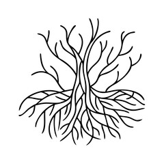 roots of a tree icon, roots of a tree line art - simple line art of roots of a tree, perfect for roots of a tree logos and icons