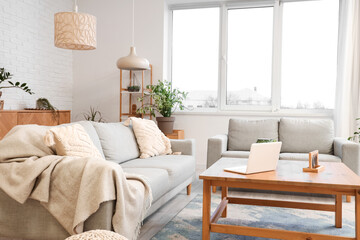 Interior of beautiful living room with comfortable sofas, houseplants, shelving unit and table with...