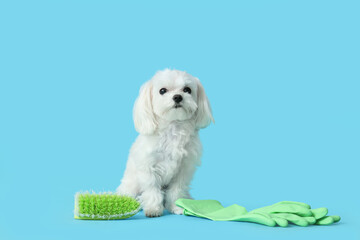 Cute dog with cleaning supplies on blue background