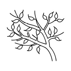 Fototapeta premium tree branch icon, tree branch line art - simple line art of tree branch, perfect for tree branch logos and icons