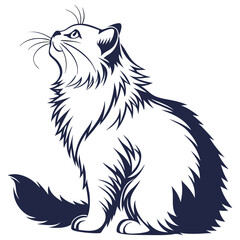 silhouette Persian cat on white background