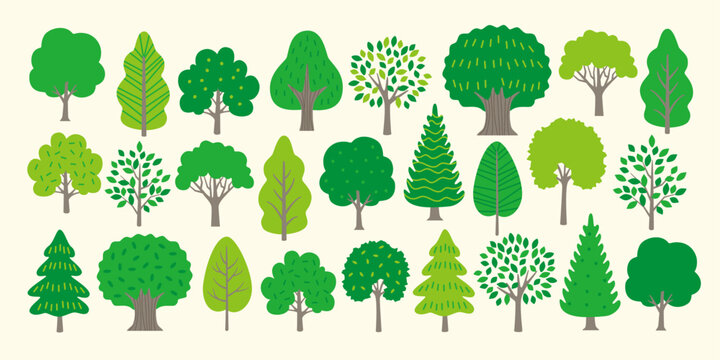 Set of illustrations of various types of trees