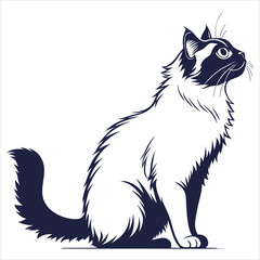 silhouette ragdoll cat on white background