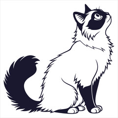 silhouette ragdoll cat on white background