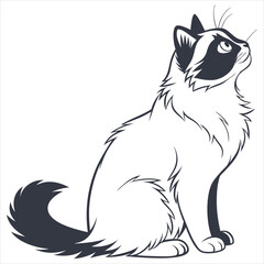 silhouette ragdoll cat on white background