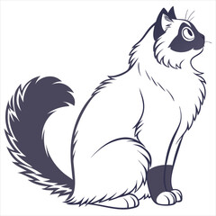 silhouette ragdoll cat on white background