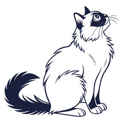 silhouette ragdoll cat on white background